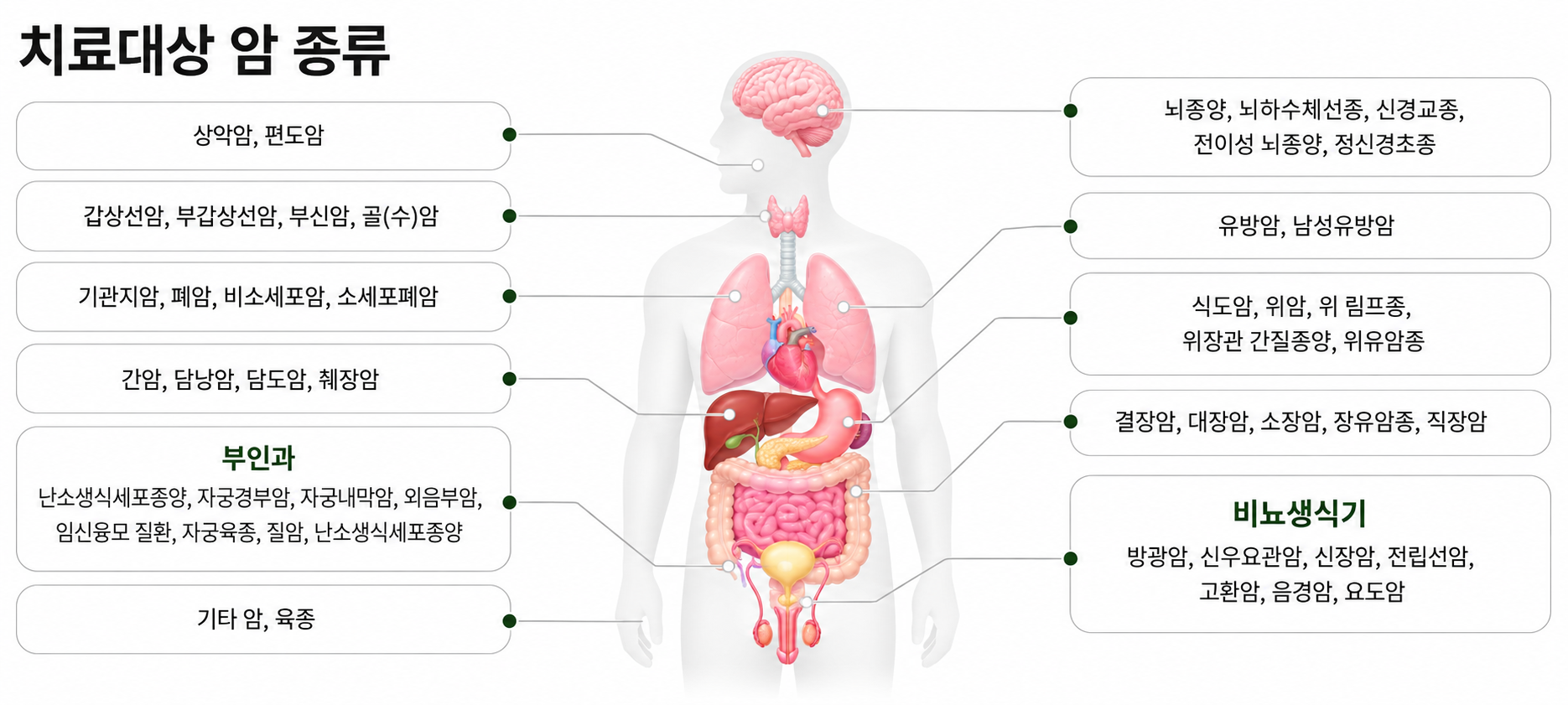 치료대상 암 종류